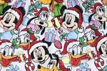 Mouse & Friends Christmas Dress