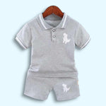 Dinosaur Gray Shorts Set