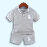 Dinosaur Gray Shorts Set