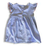 Blue Gingham Watermelon Smocked Bishop Sundress